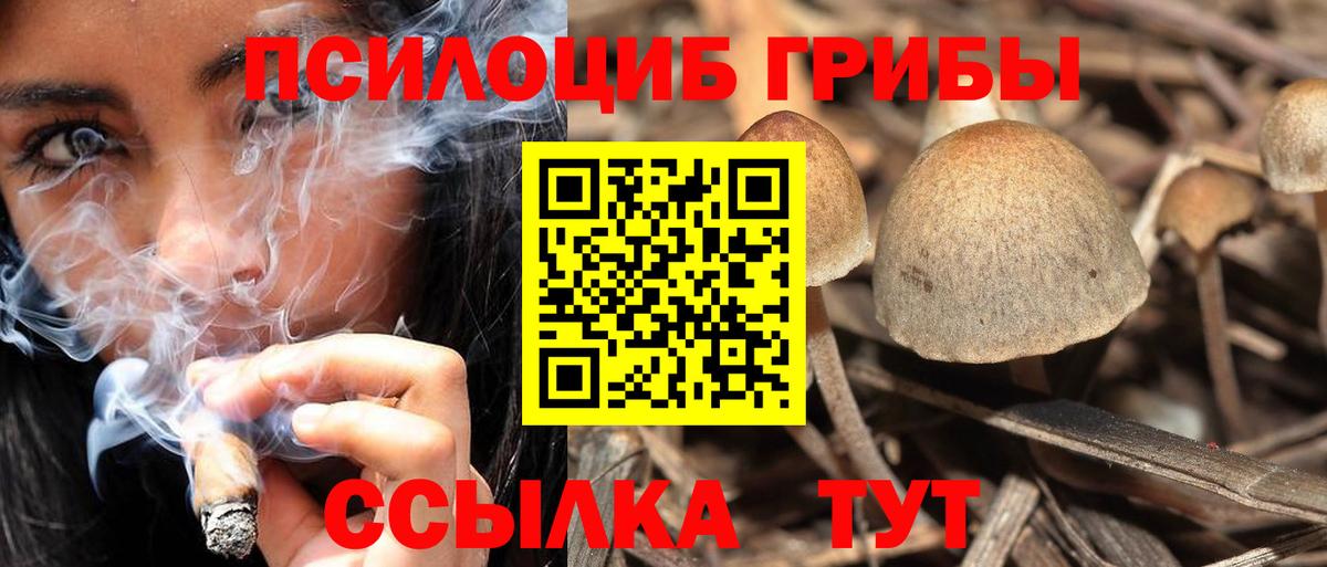 Псилоцибиновые грибы GOLDEN TEACHER  Галлюциногенные грибы ЛСД  Вход с VPN  Альметьевск 